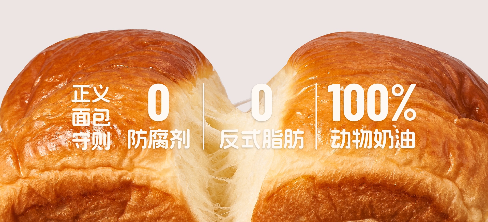 通栏图片